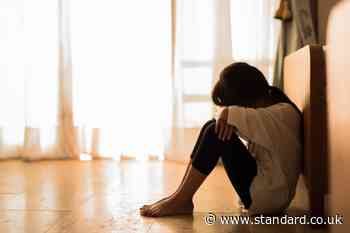 Surge in search for domestic abuse resources during World Cup
