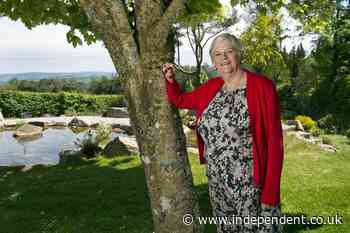 Ann Widdecombe murder investigation latest: Male suspect, 26, arrested over death of ex-MP released