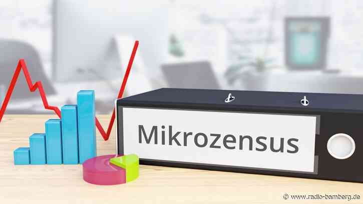 Halbzeit beim Mikrozensus
