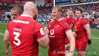 How to watch Argentina v Wales for free - TV channel and kick-off time