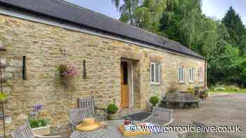 Stay at North East woodland escape where deer and rabbits visit the garden