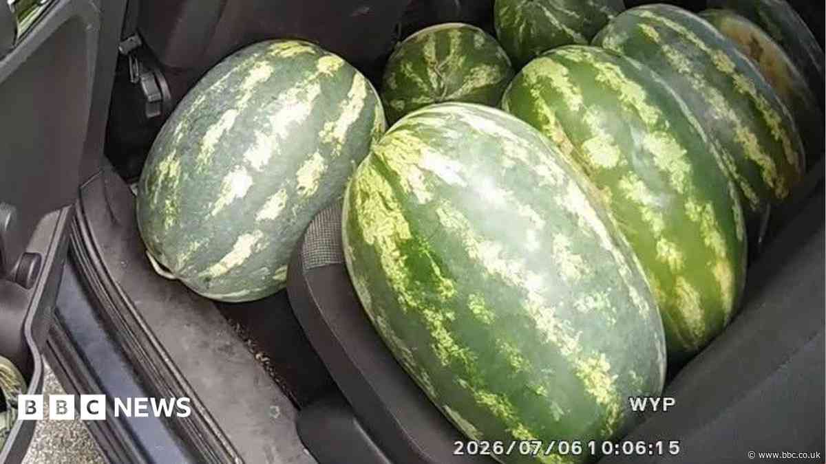Fruit-filled car driven by 'right melon' - police