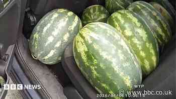 Fruit-filled car driven by 'right melon' - police