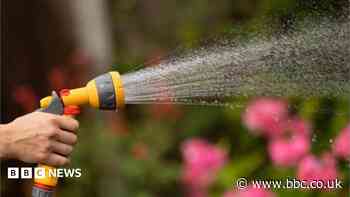 Yorkshire hosepipe ban 'not expected this summer'