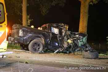 Grote ravage: pick-up crasht tegen bomen, bestuurder aangehouden