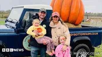 Half of Halloween pumpkin crop ruined by heatwaves
