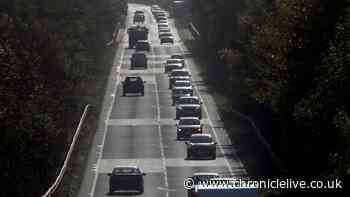 Cross-party backing for campaign to dual the A1 in Northumberland