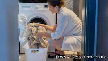 Soften towels in 15 minutes without vinegar or baking soda using 'natural' method