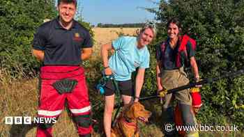 Firefighters rescue dog from water-filled ditch