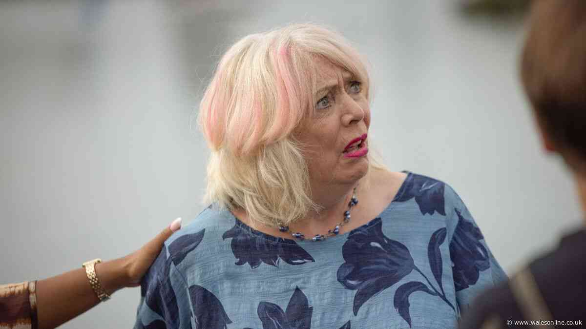 Gavin and Stacey star returns to beloved BBC role in series update