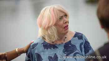 Gavin and Stacey star returns to beloved BBC role in series update