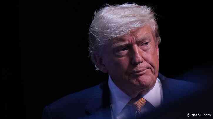 Trump election commission firings spark interference concerns ahead of midterms 