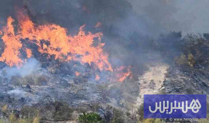 إسبانيا تتقدم في إخماد حريق الجنوب