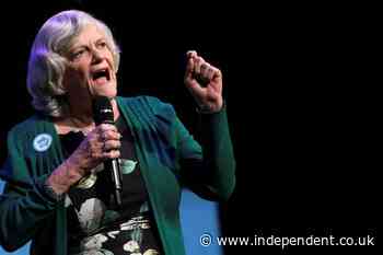 Ann Widdecombe murder latest: Former MP ‘attacked 24 hours before she was found’ as manhunt continues