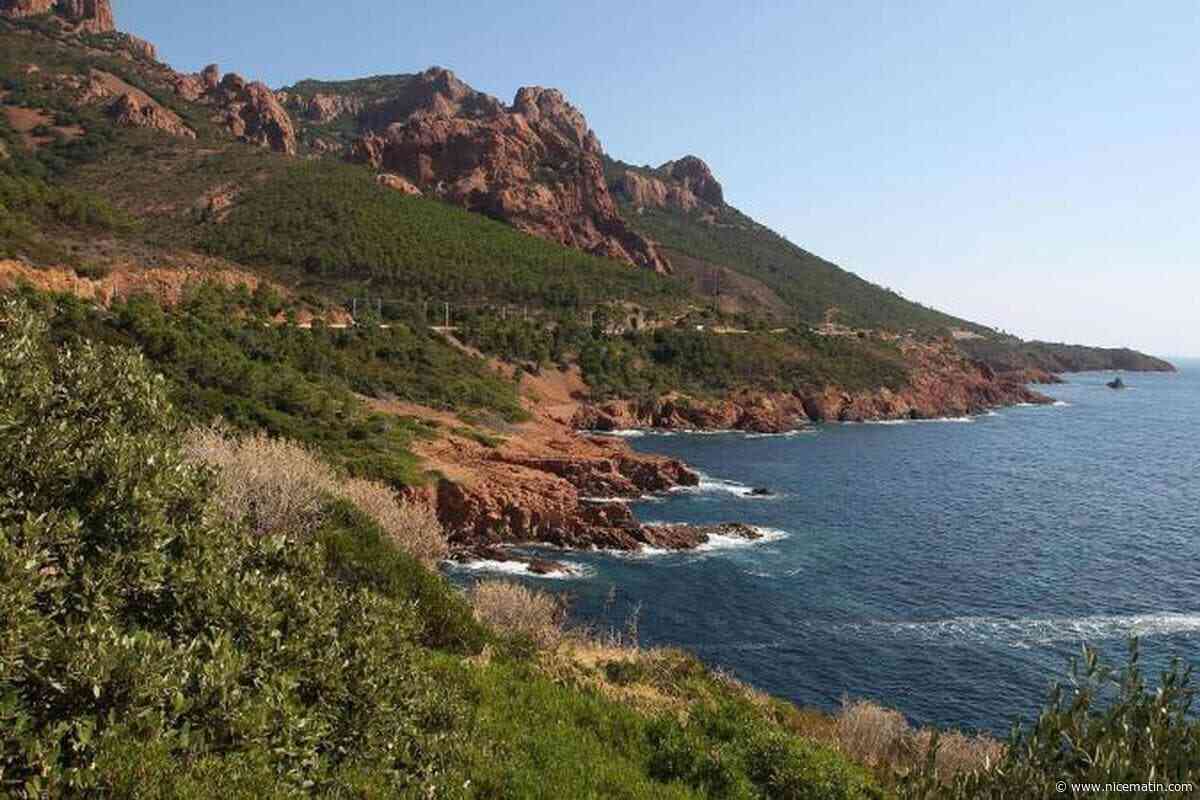 Un incendie se déclare dans le massif de l’Estérel à Saint-Raphaël