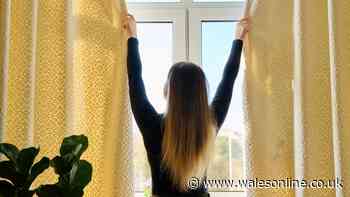Should you open windows in a heatwave? Experts all say the same thing