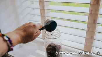 Welsh households urged to place bowl of used coffee grounds on windowsills