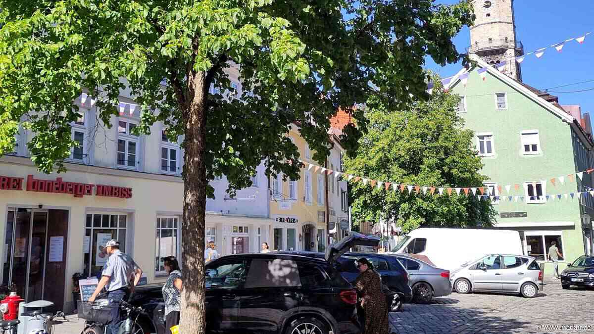 Viele Bäume sind stark geschädigt: So will die Stadt jetzt gegensteuern
