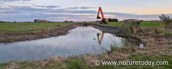 Aanvalsplan Landschap in actie: groenblauwe netwerken in ontwikkeling (deel I)