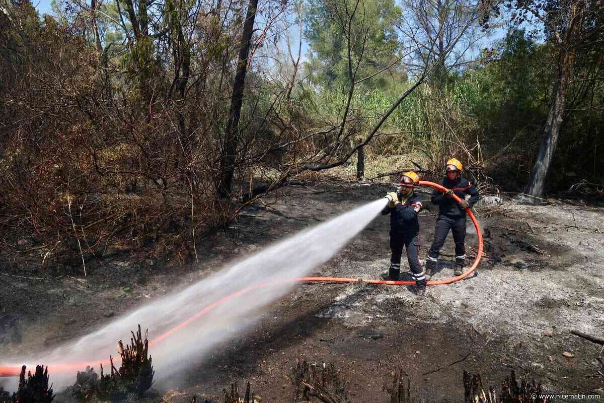 Un incendie se déclare dans le massif de l’Estérel à Saint-Raphaël : un important dispositif sur le point de juguler les flammes