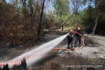 Un incendie se déclare dans le massif de l’Estérel à Saint-Raphaël : un important dispositif sur le point de juguler les flammes