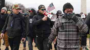 Judge OKs DOJ request to toss remaining Proud Boys Jan. 6 convictions