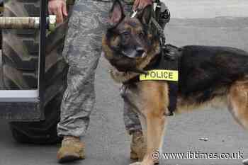 New Jersey Police Officer Charged After Death Of Two K-9 Partners Locked Inside SUV For Seven Hours