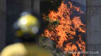 Spain wildfires live: 12 dead 'including Brits' as blaze tears through expat village