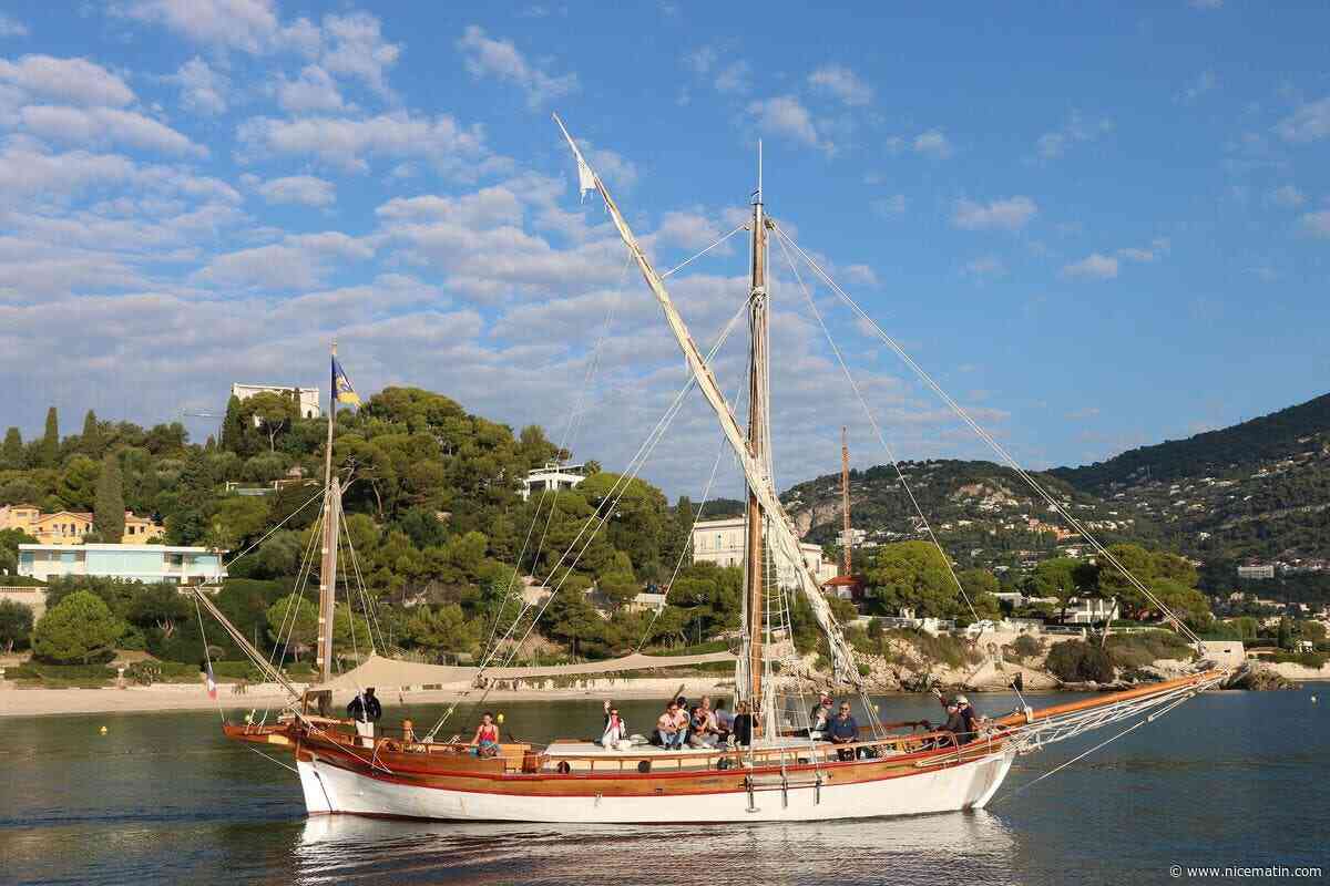 À partir de Saint-Jean-Cap-Ferrat, des croisières pédagogiques pour aller à la rencontre des dauphins