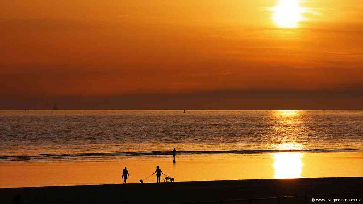 Heatwave to continue into weekend with record temperatures and fire risks