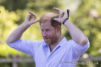 Harry guards ‘crown jewels’ during goat yoga session at children’s charity day