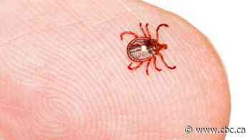 Rare tick-bite allergy leaves Nova Scotia woman unable to eat meat or dairy