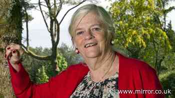 Ann Widdecombe's final hours probed with final message sent 11 minutes before horror attack