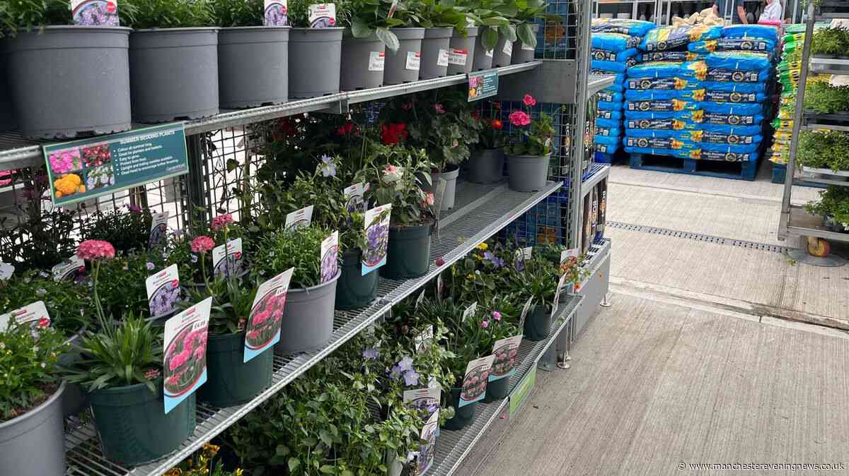 Home Bargains £9.99 buy brings 'touch of elegance to your home or garden'