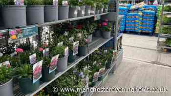 Home Bargains £9.99 buy brings 'touch of elegance to your home or garden'