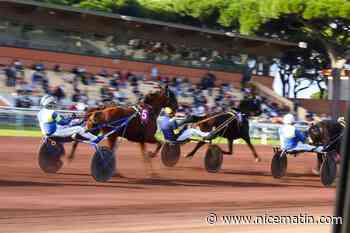 Le programme de la réunion hippique de ce dimanche 12 juillet à Hyères
