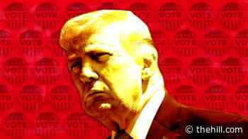 Vulnerable Republicans embrace risky strategy of embracing an unpopular Trump