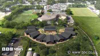Major school expansion to go ahead thanks to Dyson