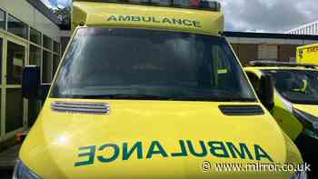 Man dies after falling from Belfast bonfire in 'tragic accident'