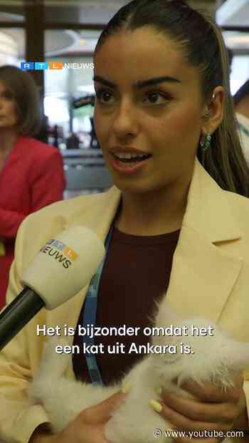 Katten stelen de show tijdens NAVO-top | RTL Nieuws