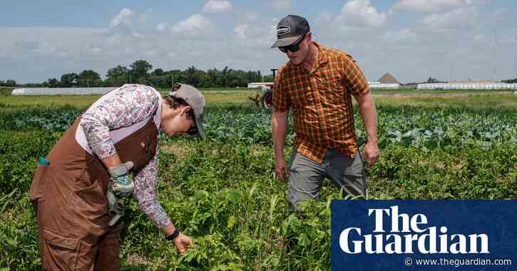 ‘A slap in the face’: small farmers say Trump is turning his back on them