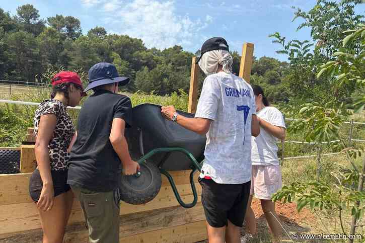 Vie collective, autonomie et concert : 15 adolescents relèvent le défi d’un chantier jeune dans cette commune du Var