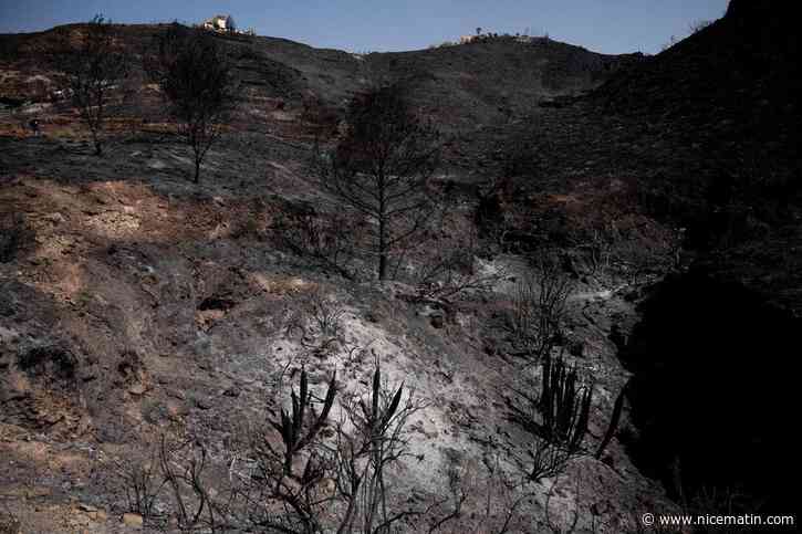 « On a eu très, très peur, on voyait les flammes, ça a été terrible... » : après deux jours d’« enfer », l’espoir d’une stabilisation de l’incendie mortel en Espagne