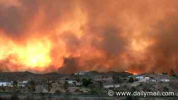 Two British tourists trapped in deadly wildfire in Spain are found alive 'with 40 per cent burns' after police heard 'very faint sound'