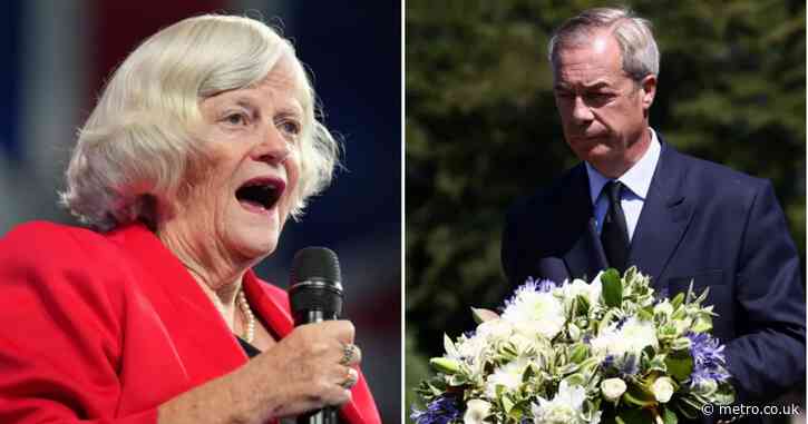 Nigel Farage believes Ann Widdecombe’s ‘murder’ was ‘premeditated’ as police theories emerge