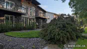 Power restored to thousands, streets reopened after storm hit Edmonton Friday