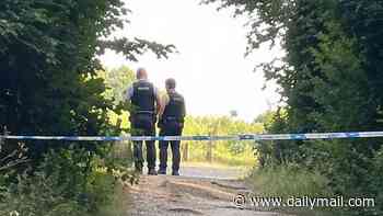 Families taking part in teddy bear hunt find suitcase with body inside: Two men arrested on suspicion of murder
