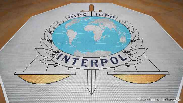 J&amp;K: Interpol notice against Hizbul terrorist wanted in cop killings