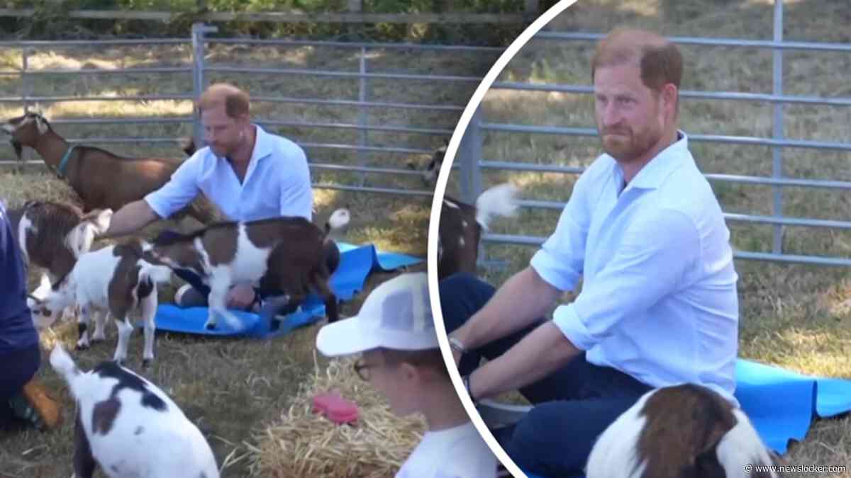 Opmerkelijk: prins Harry gaat tussen de geiten liggen tijdens yogales