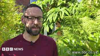 The gardener growing bananas - in Wakefield